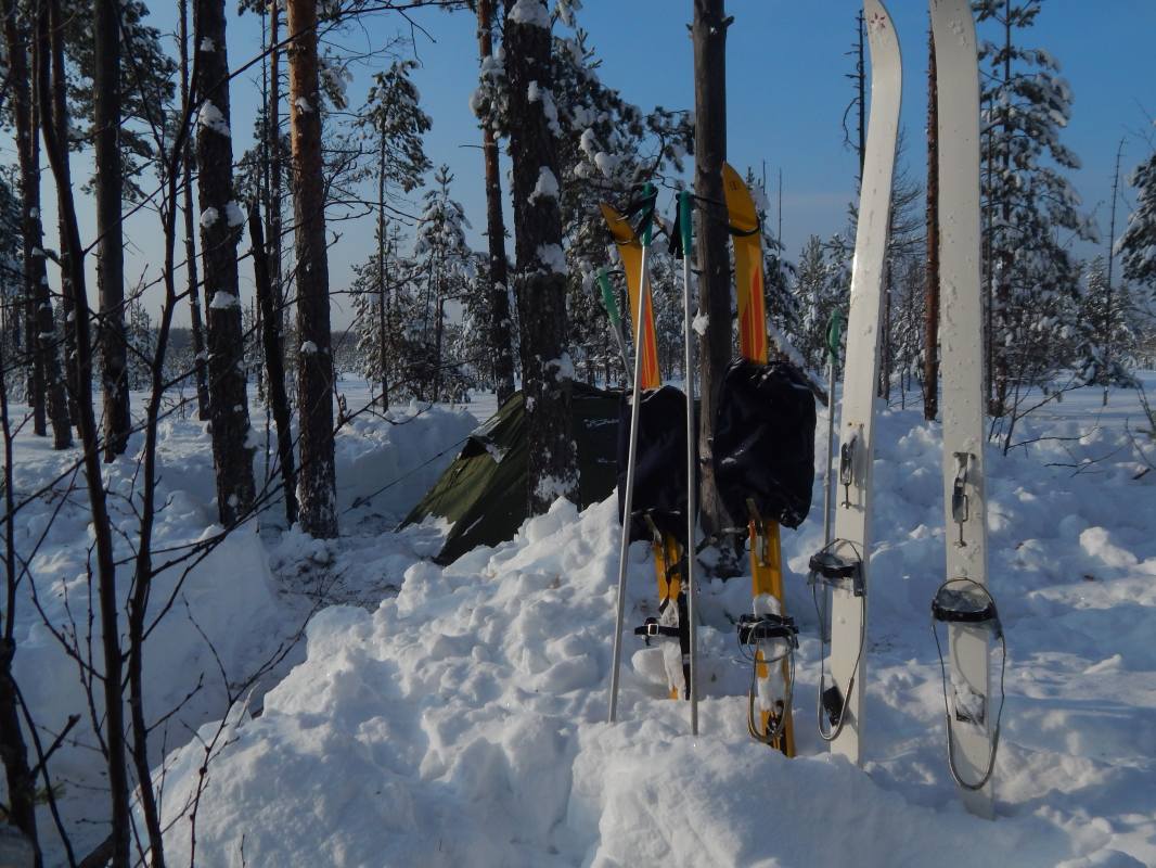 Зимний лыжный поход на Котловские болота (февраль 2015)