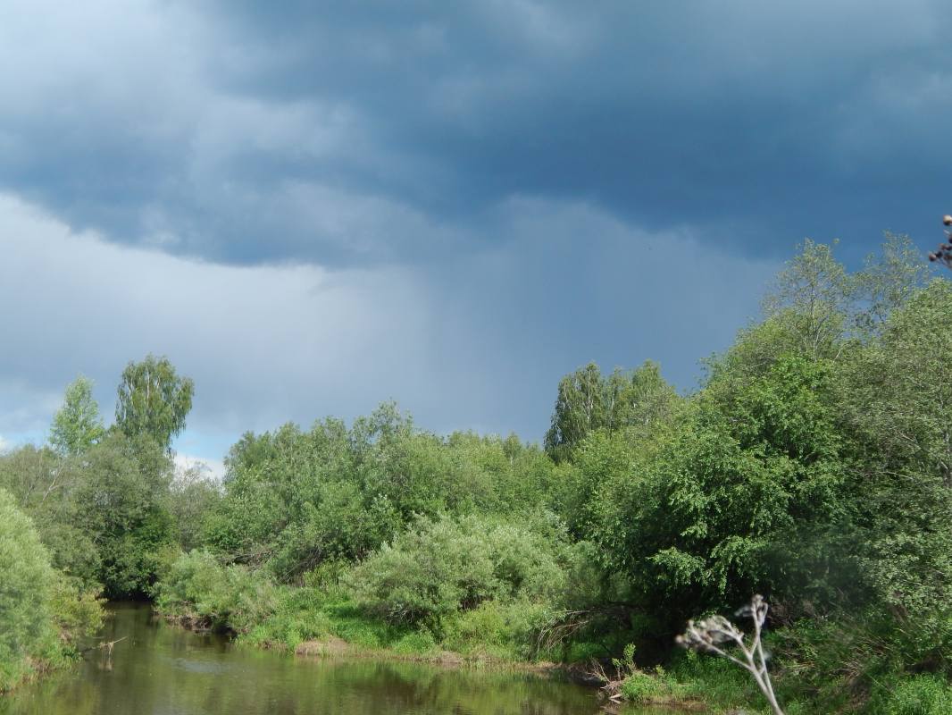 Сплав по реке Андоба (костромская область)
